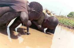 Sudanese boys using pipe filters to prevent Guinea worm disease.