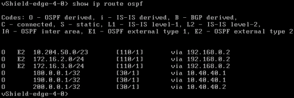NSX Perimeter Edge: "show ip route ospf" CLI command output