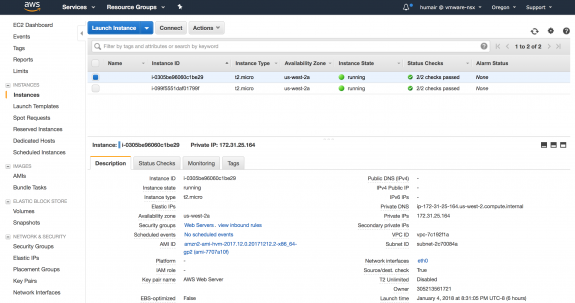 Figure 8: AWS EC2 Instance with Private IP Address of "172. 31. 25. 164"