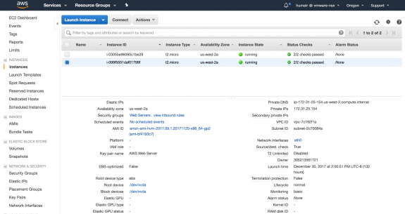 Figure 9: AWS EC2 Instance with Private IP Address of "172. 31. 25. 154"